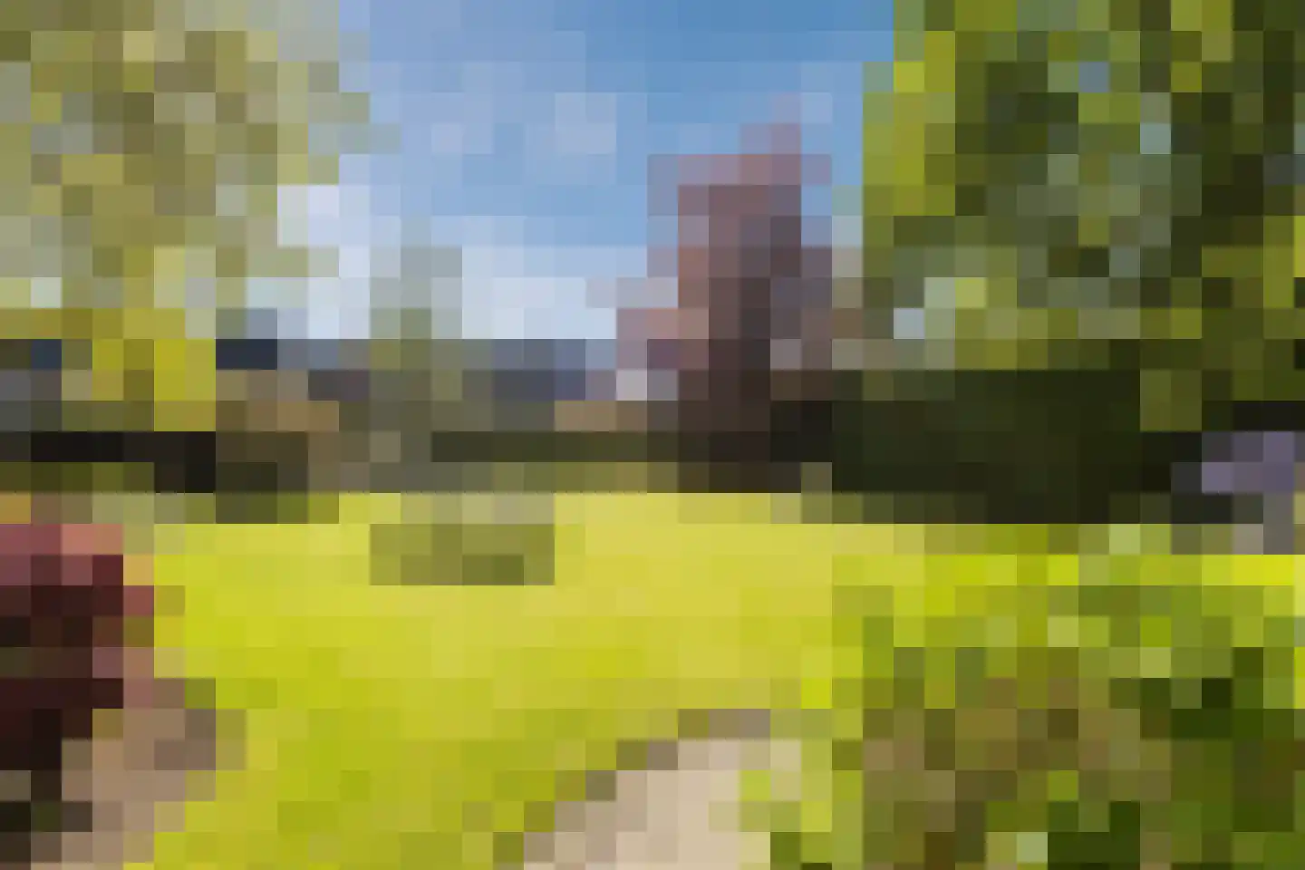 Linnaeuslaan 88 Culemborg thumbnail 57