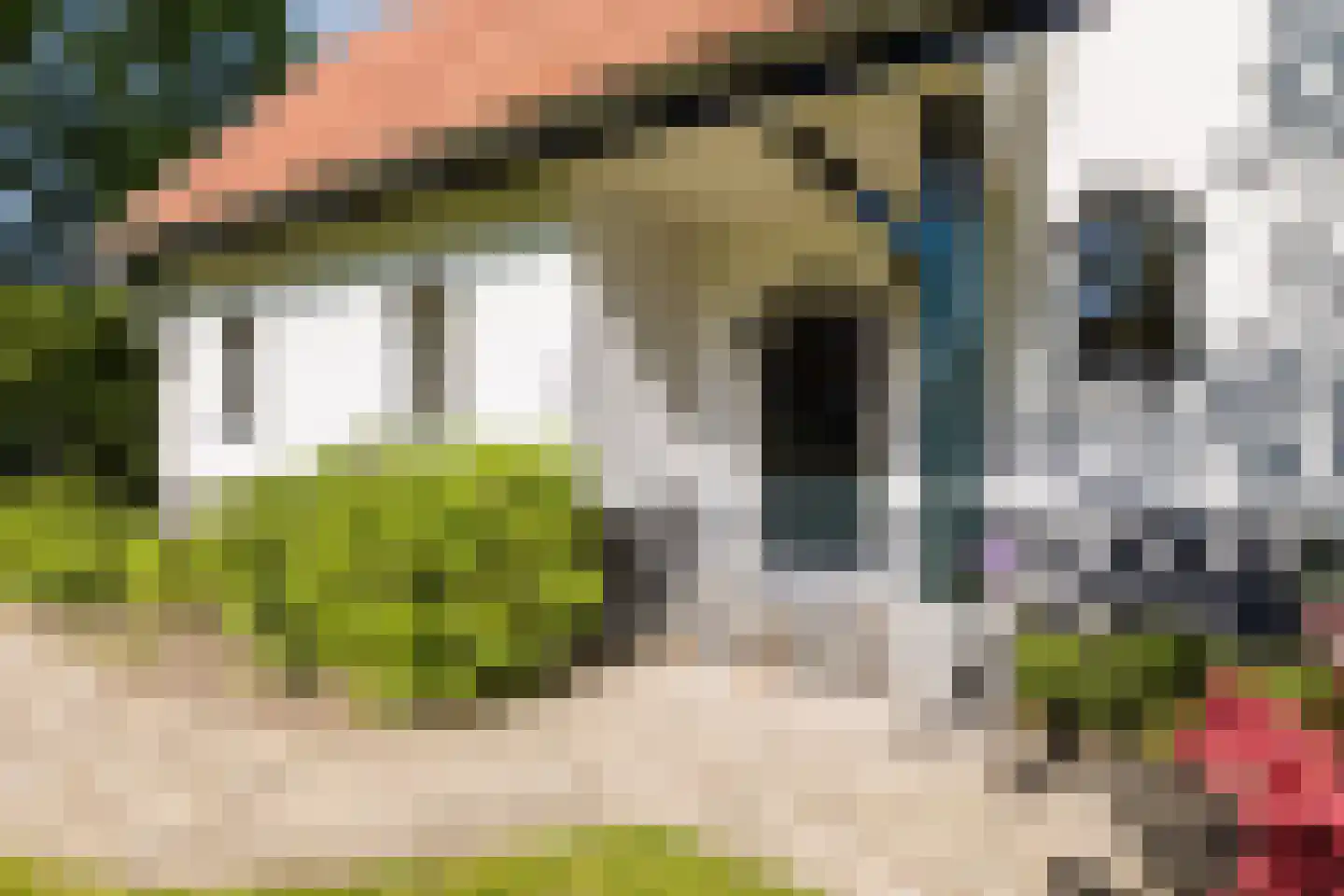 Linnaeuslaan 88 Culemborg thumbnail 6