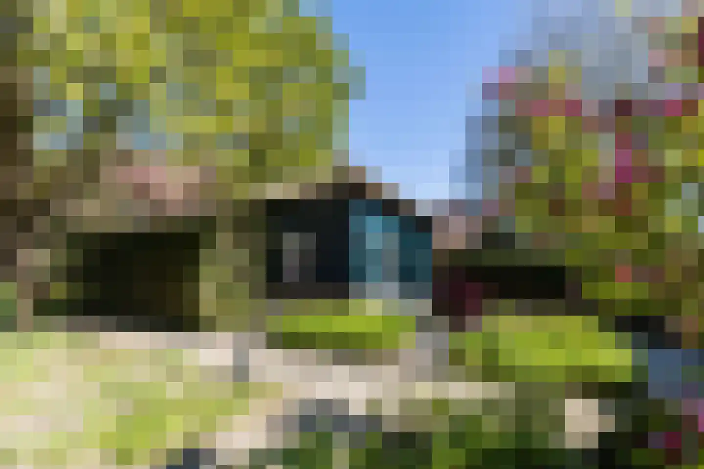 Linnaeuslaan 88 Culemborg thumbnail 62
