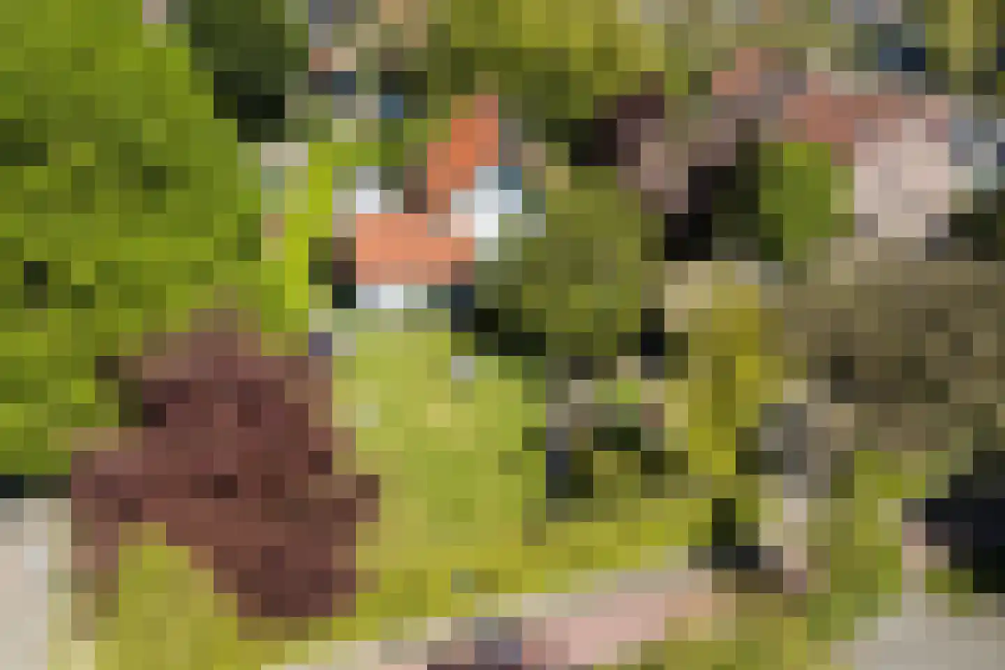 Linnaeuslaan 88 Culemborg thumbnail 65