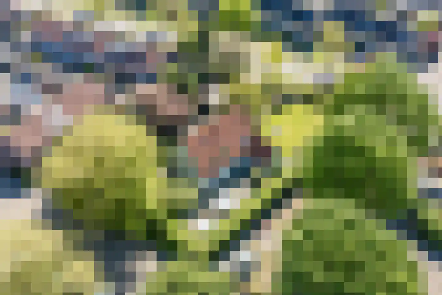 Linnaeuslaan 88 Culemborg thumbnail 66