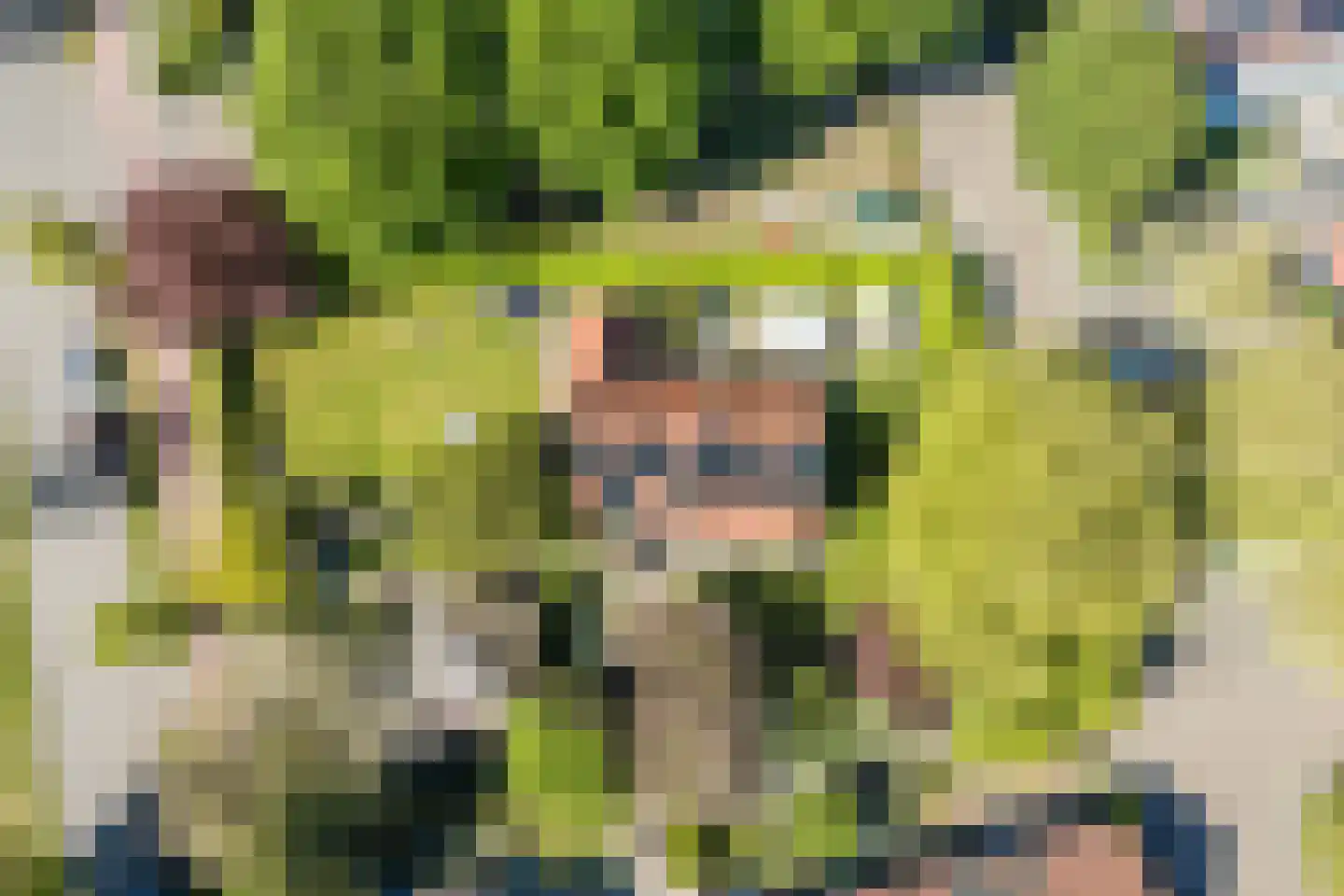 Linnaeuslaan 88 Culemborg thumbnail 68