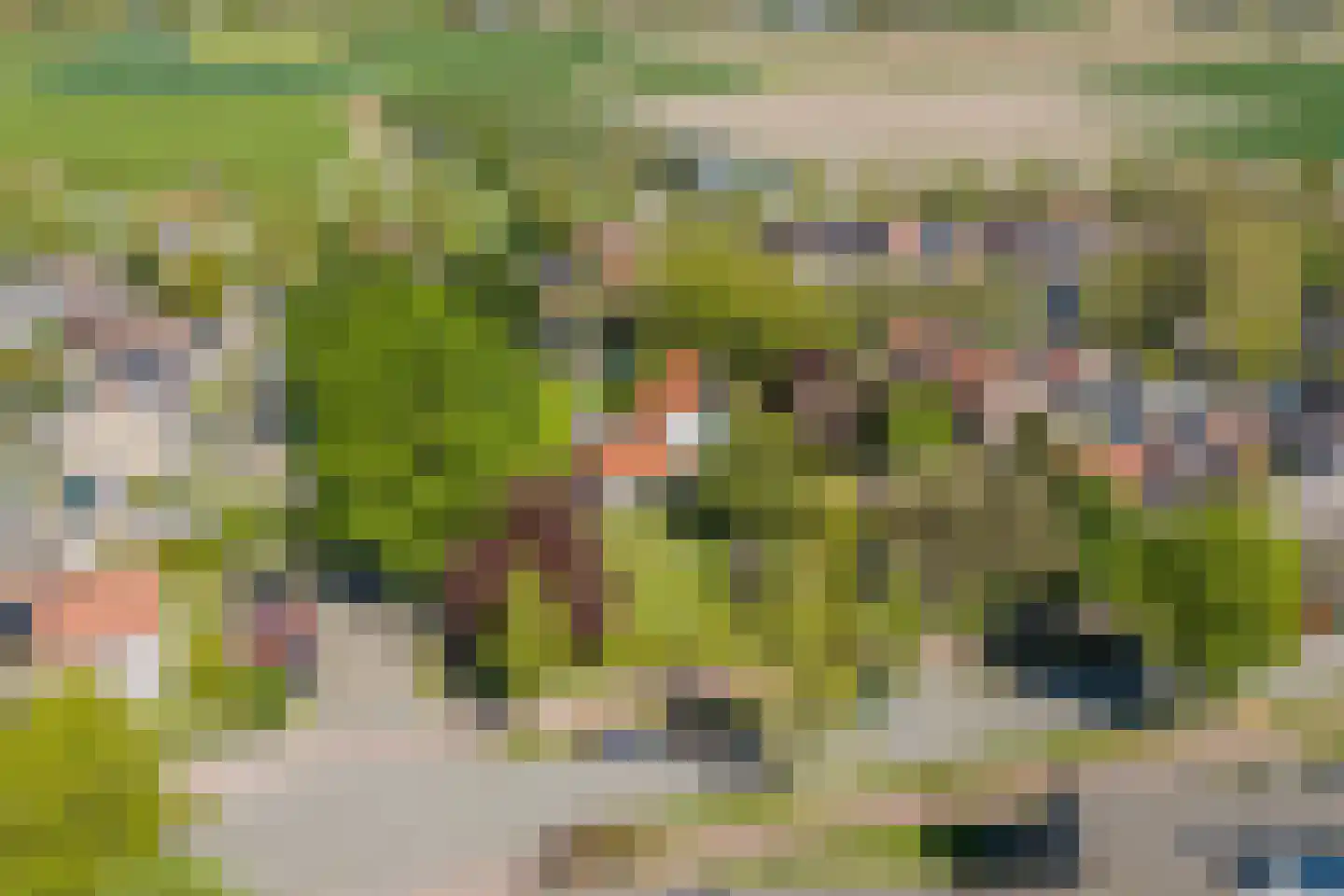 Linnaeuslaan 88 Culemborg thumbnail 69