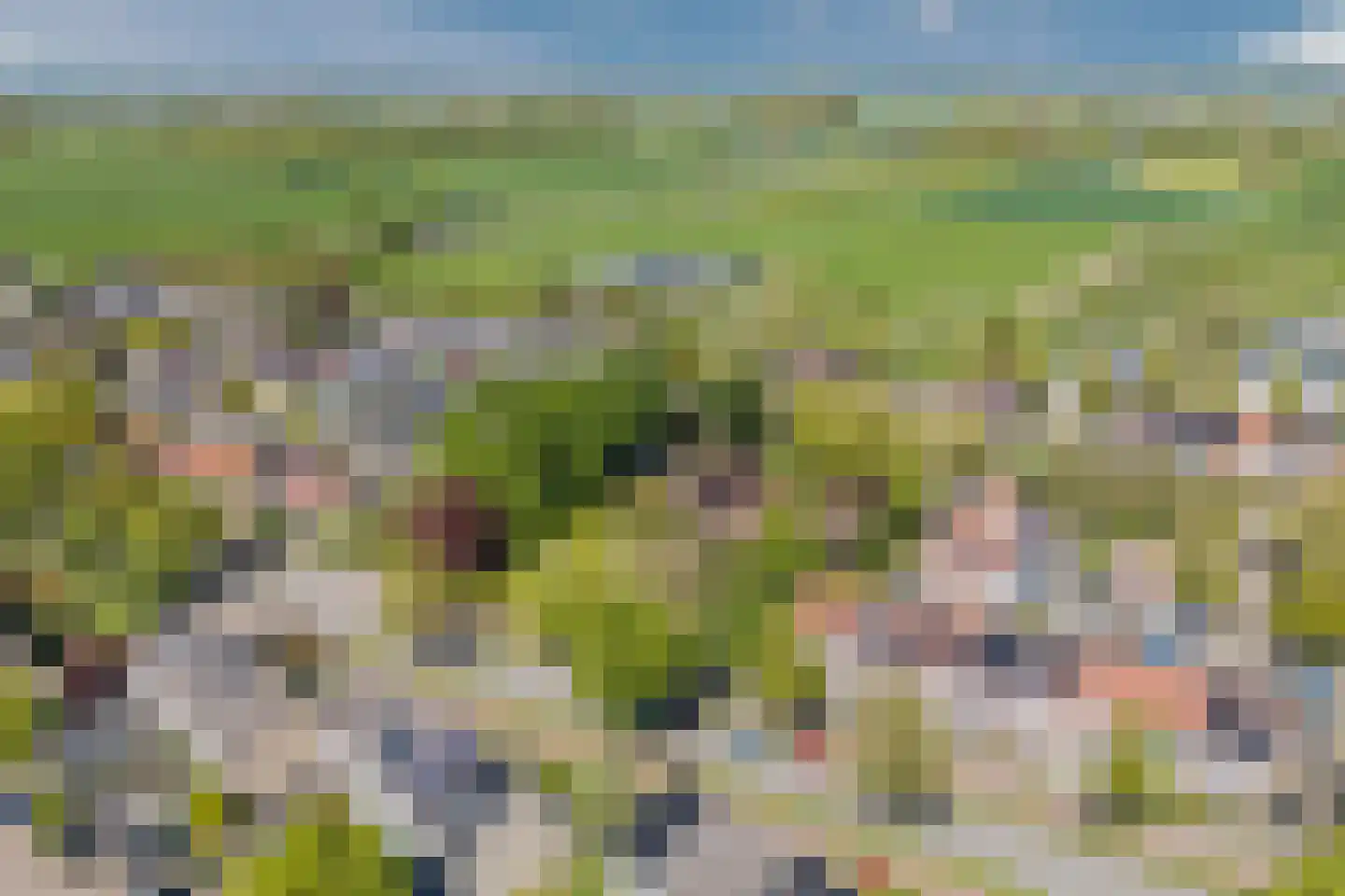 Linnaeuslaan 88 Culemborg thumbnail 70