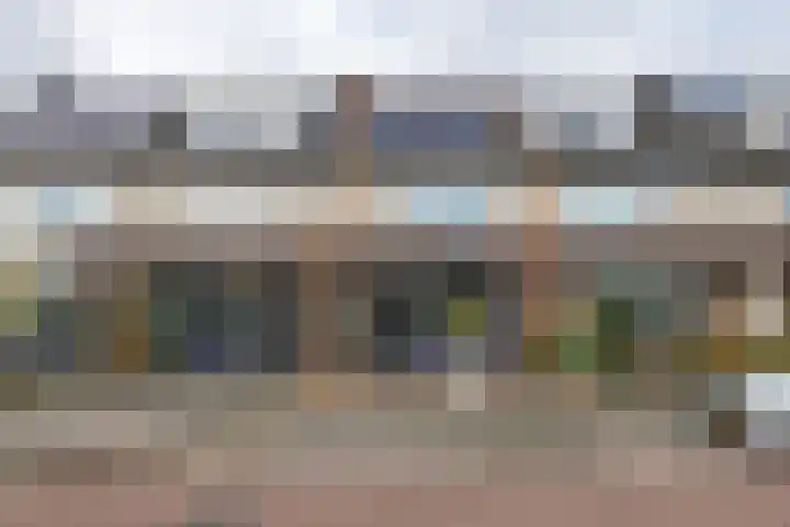 Linnaeuslaan 89 Veenendaal