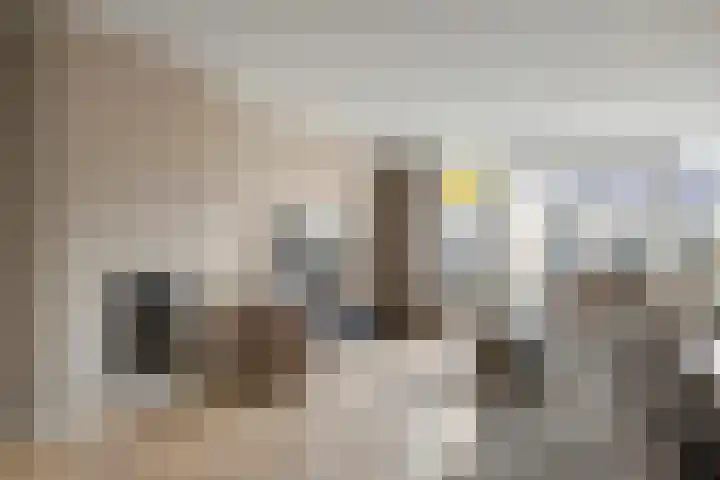 Linnaeuslaan 89 Veenendaal thumbnail 12