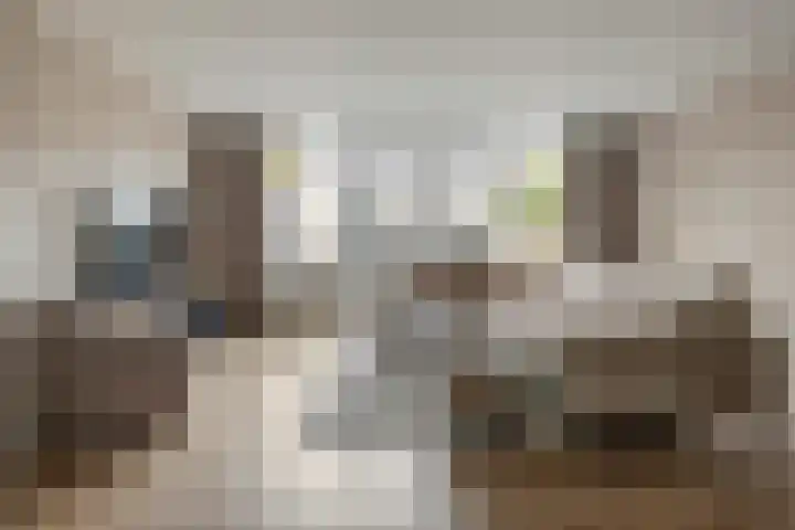 Linnaeuslaan 89 Veenendaal thumbnail 14
