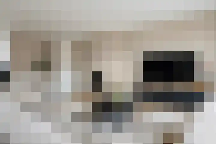 Linnaeuslaan 89 Veenendaal thumbnail 15