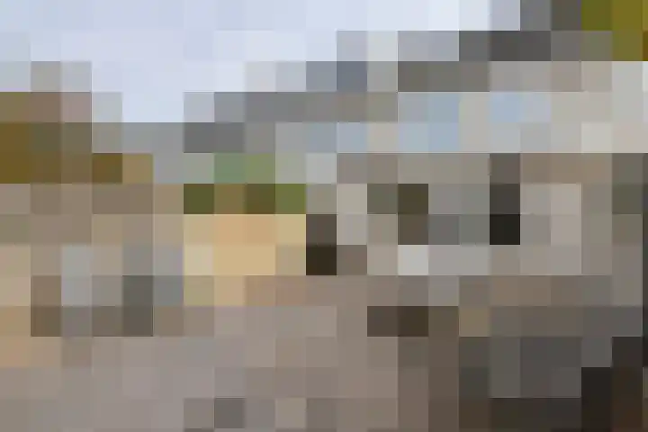 Linnaeuslaan 89 Veenendaal thumbnail 17