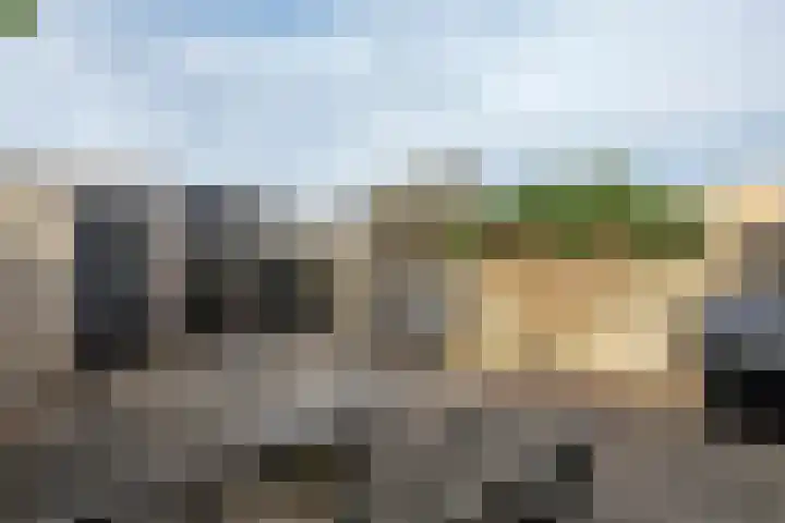Linnaeuslaan 89 Veenendaal thumbnail 18