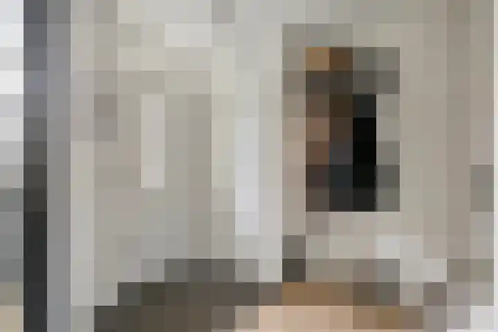 Linnaeuslaan 89 Veenendaal thumbnail 20