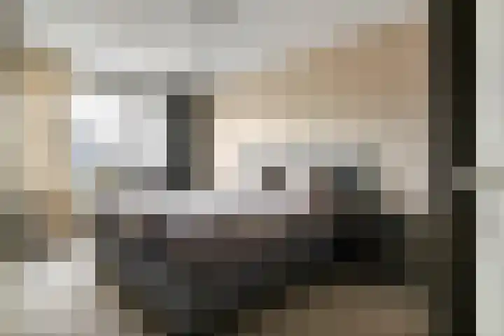 Linnaeuslaan 89 Veenendaal thumbnail 21