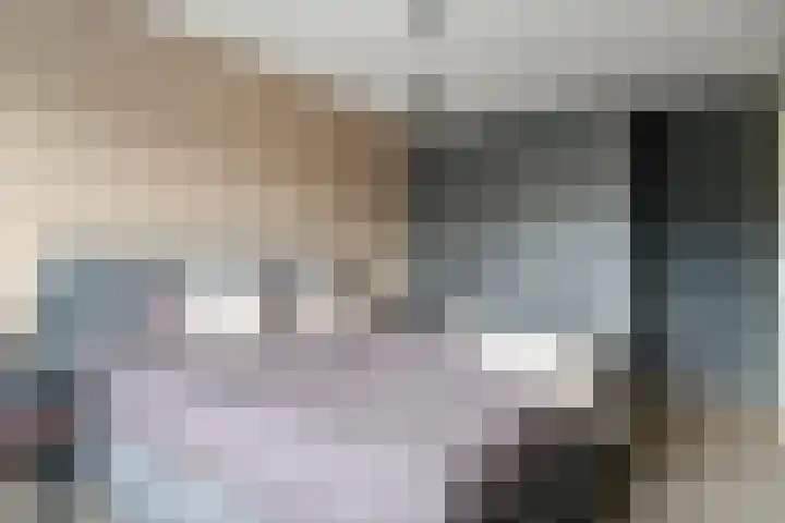 Linnaeuslaan 89 Veenendaal thumbnail 22