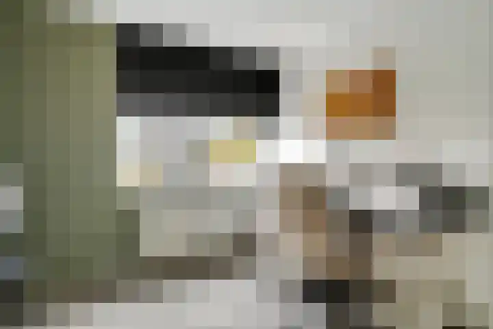 Linnaeuslaan 89 Veenendaal thumbnail 25