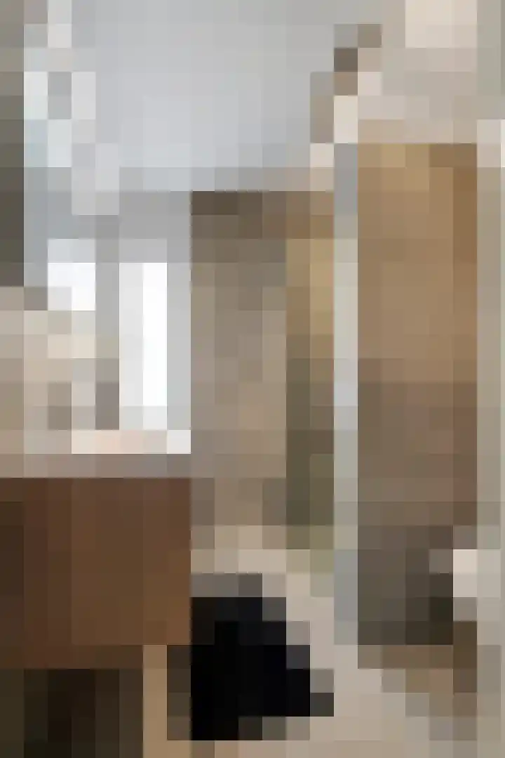Linnaeuslaan 89 Veenendaal thumbnail 26