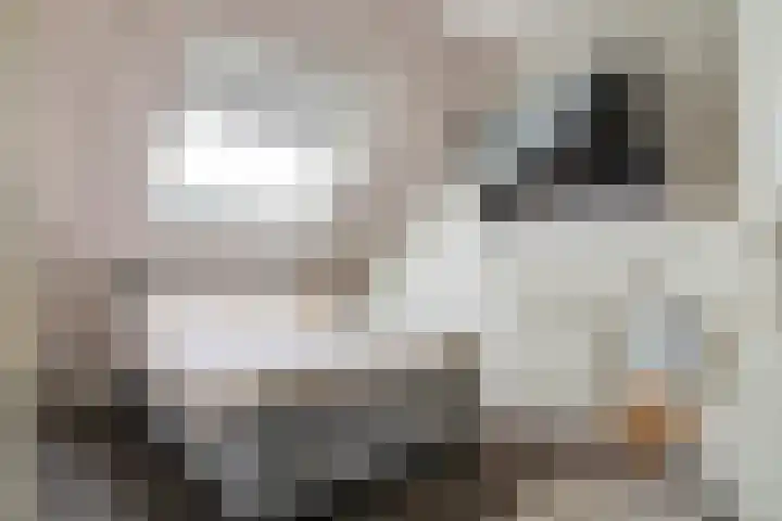 Linnaeuslaan 89 Veenendaal thumbnail 30