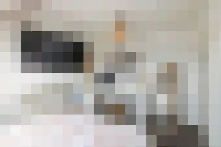 Linnaeuslaan 89 Veenendaal thumbnail 31