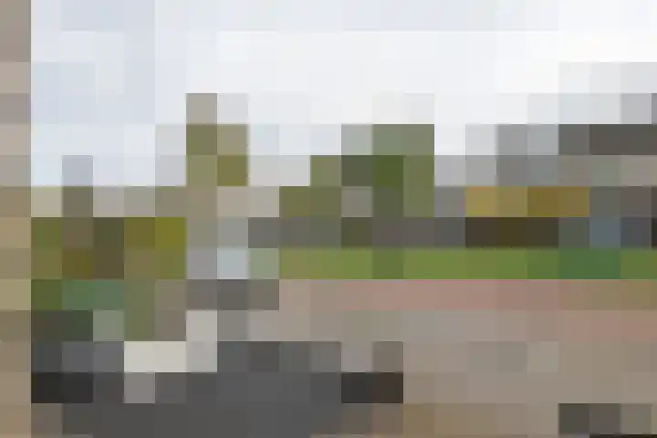 Linnaeuslaan 89 Veenendaal thumbnail 32