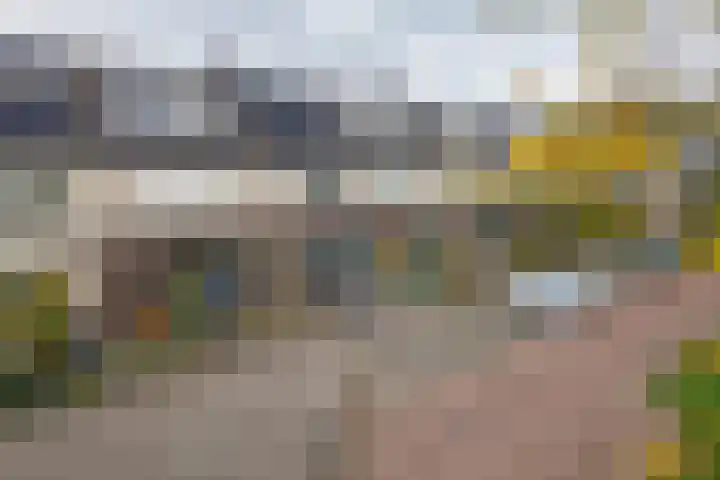 Linnaeuslaan 89 Veenendaal thumbnail 33