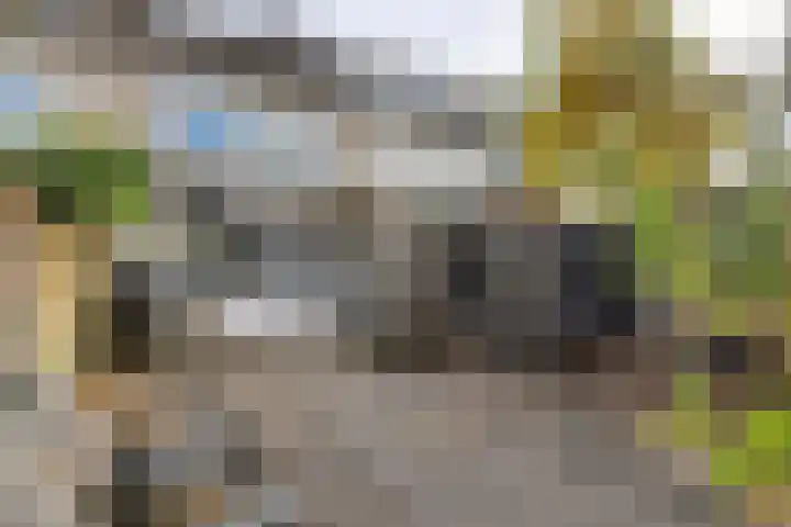 Linnaeuslaan 89 Veenendaal thumbnail 4