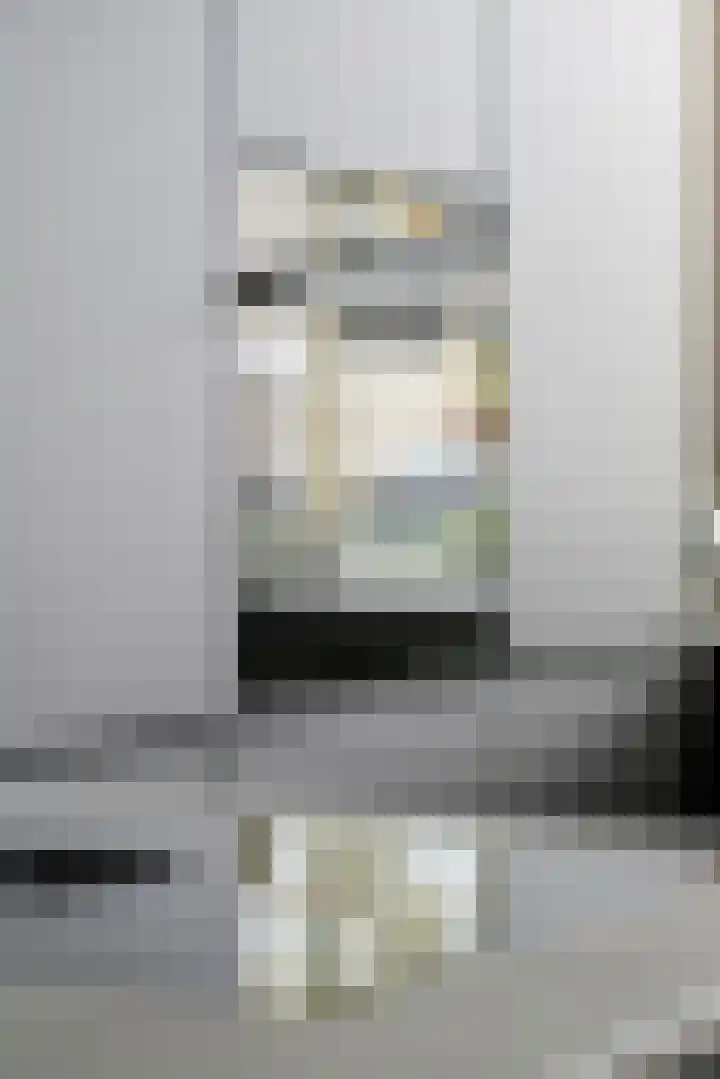 Linnaeuslaan 89 Veenendaal thumbnail 8