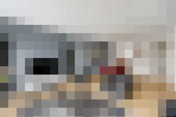 Linnaeuslaan 9 Oudenbosch thumbnail 11