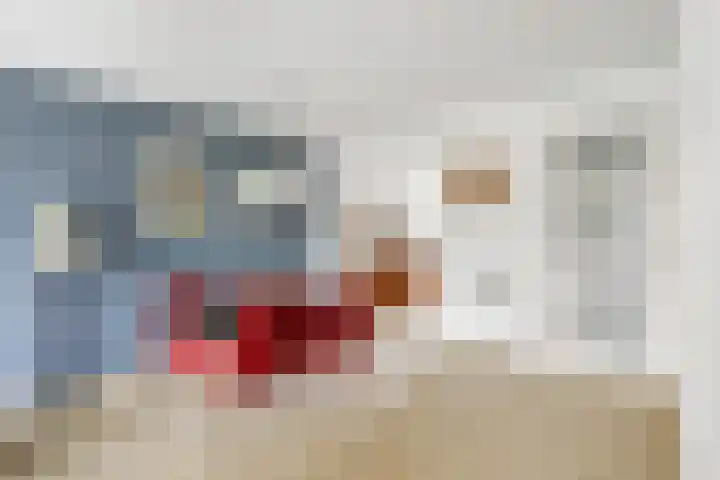 Linnaeuslaan 9 Oudenbosch thumbnail 12
