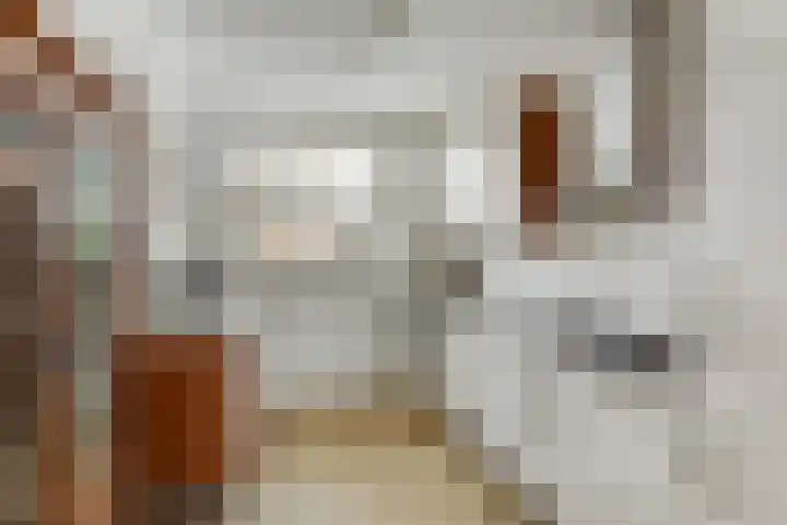 Linnaeuslaan 9 Oudenbosch thumbnail 13