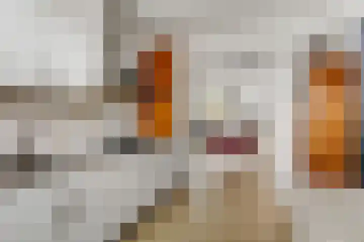 Linnaeuslaan 9 Oudenbosch thumbnail 14