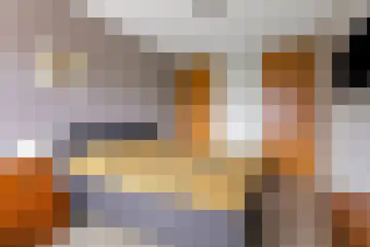 Linnaeuslaan 9 Oudenbosch thumbnail 16
