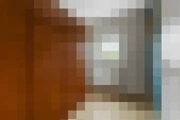Linnaeuslaan 9 Oudenbosch thumbnail 18