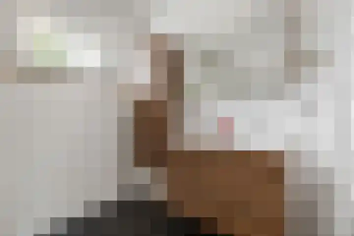 Linnaeuslaan 9 Oudenbosch thumbnail 19
