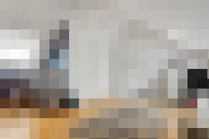 Linnaeuslaan 9 Oudenbosch thumbnail 21