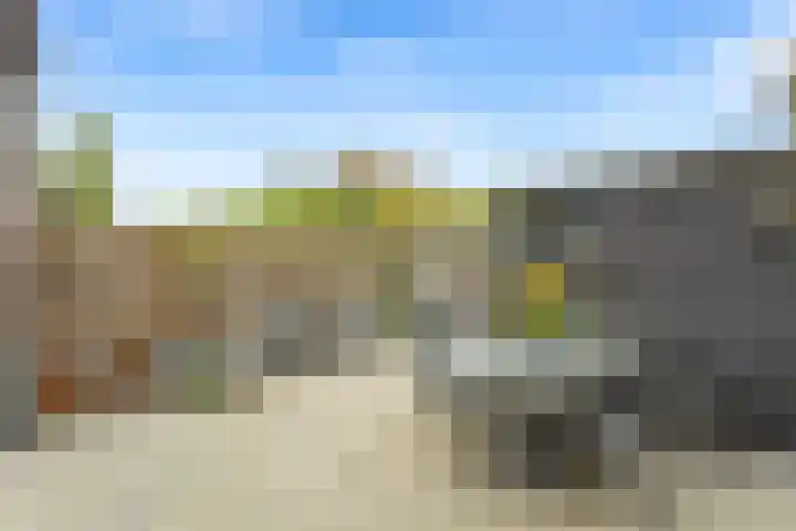 Linnaeuslaan 9 Oudenbosch thumbnail 22