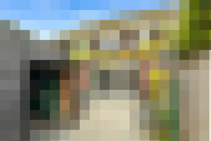 Linnaeuslaan 9 Oudenbosch thumbnail 24