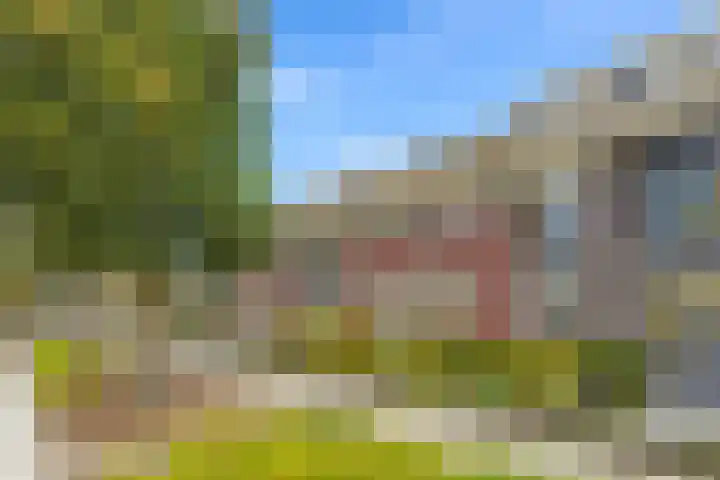 Linnaeuslaan 9 Oudenbosch thumbnail 25