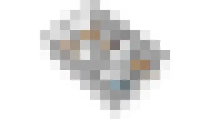 Linnaeuslaan 9 Oudenbosch thumbnail 31