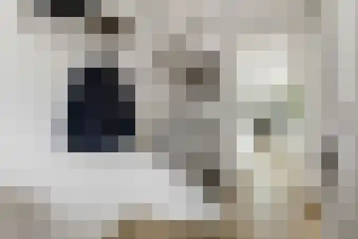 Linnaeuslaan 9 Oudenbosch thumbnail 4