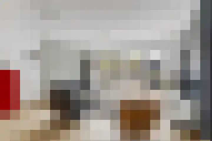 Linnaeuslaan 9 Oudenbosch thumbnail 8