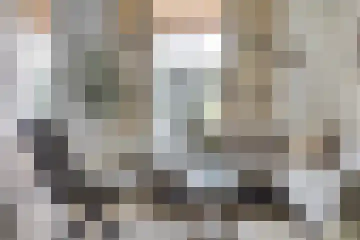 Linnaeuslaan 97 Veenendaal thumbnail 11