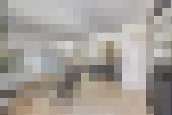 Linnaeuslaan 97 Veenendaal thumbnail 12