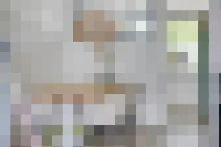 Linnaeuslaan 97 Veenendaal thumbnail 14