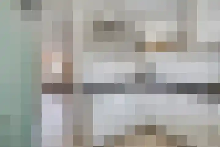 Linnaeuslaan 97 Veenendaal thumbnail 16