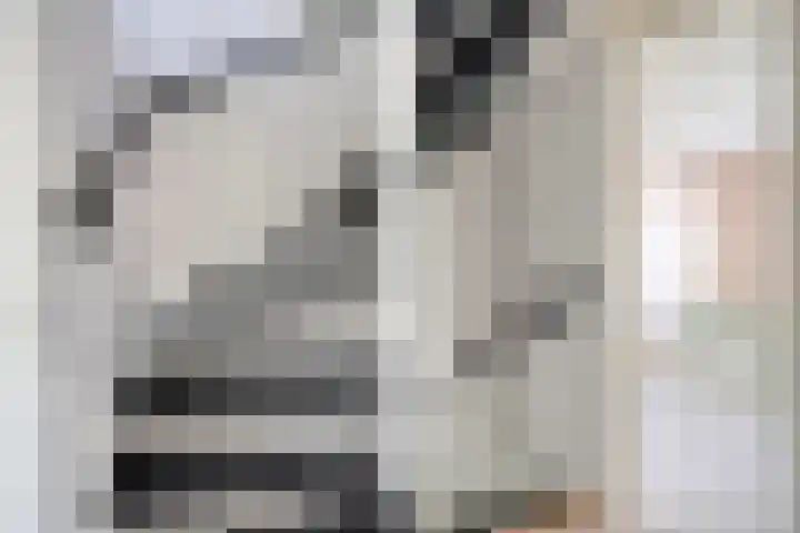 Linnaeuslaan 97 Veenendaal thumbnail 19