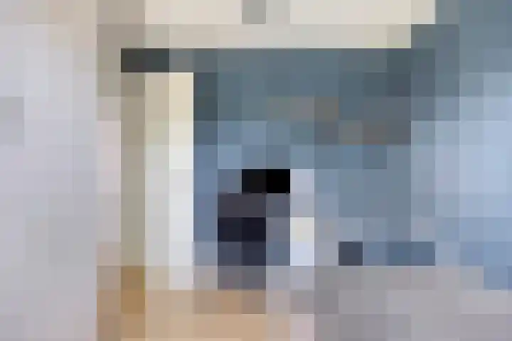 Linnaeuslaan 97 Veenendaal thumbnail 26