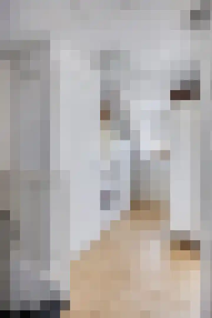 Linnaeuslaan 97 Veenendaal thumbnail 27