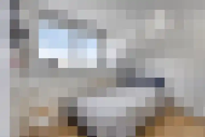Linnaeuslaan 97 Veenendaal thumbnail 29