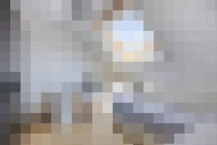 Linnaeuslaan 97 Veenendaal thumbnail 30
