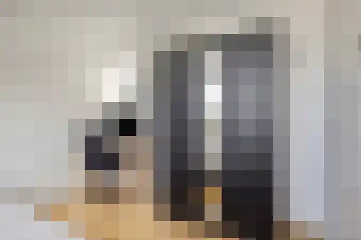 Linnaeuslaan 97 Veenendaal thumbnail 31