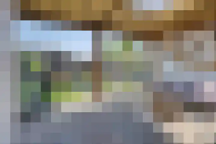 Linnaeuslaan 97 Veenendaal thumbnail 32